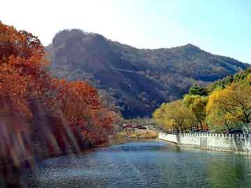 管家婆免费正版资起大全，泛目录大神